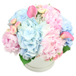A generous pastel hatbox arrangement fills the image, capturing that blend of luxury and softness you might find in a carefully curated Oxford townhouse near the city centre. The flowers are gathered in a round, pure white gift box with a subtle raised band encircling the top, giving the impression of a chic, modern hatbox. From it rises a tightly packed dome of blossoms, overflowing just enough to suggest abundance. Large pink peonies sit proudly at the heart of the display, their many, slightly ruffled petals forming plush, rounded blooms that feel romantic and comforting. Around and among them, light blue hydrangea heads offer a cool counterpoint; each hydrangea is made up of many tiny, delicate florets, creating a textured, cloudlike effect that softens the overall silhouette. Interspersed through this pastel landscape are small, light pink spray roses, some still in tight buds and others beginning to open, adding fine, intricate detail like scattered notes in a gentle melody. Two vivid pink calla lilies arch from the composition-one leaning towards the upper left, the other to the right-introducing an elegant, sculptural element with their smooth, fluted trumpets and slightly rolled edges. A few glimpses of deep green leaves peek out at the base of the arrangement, offering just enough contrast to highlight the pastel tones without breaking the harmony. The clean white background and soft, even lighting ensure the colours remain airy and refined. This bouquet feels perfectly suited to celebrate a new arrival in Oxford, brighten a quiet Jericho apartment, or send a graceful message of care and sympathy, its pastel blues and pinks conveying tenderness and calm.