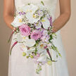 A close, straight-on view captures a bride in Oxford tenderly holding a luxurious cascading bouquet, the flowers resting against her lace bridal gown while the background melts into a warm, neutral blur like soft stone in Summertown at dusk. The bride is visible from the waist up, her white or ivory lace sleeves and bodice providing a delicate, textured frame for the flowers. The bouquet forms a classic teardrop cascade, overflowing with a dreamy palette of white, blush pink, gentle lavender, and vivid fuchsia that feels both modern and timeless, perfect for a ceremony near the Bodleian or along the river by Folly Bridge. Dominating the composition are large, flawless white Phalaenopsis orchids, their broad, satin-like petals arching gracefully and revealing golden-yellow centers that draw the eye. Between these statement blooms, lush blush pink roses are tucked in, their tightly layered petals curving inward to form full, romantic rosettes. Wisps of lavender stock weave lightly through the design, their small clustered blossoms creating movement and a soft, perfumed haze, while sprigs of tiny white gypsophila dot the bouquet with a cloud-like delicacy. From the lower edge, bold spikes of trailing fuchsia or magenta amaranthus spill downward, adding a sense of fluid motion reminiscent of ivy cascading over an old Oxford college wall. At the tip of the cascade, you can see unopened white orchid buds, slender green stems, and smaller lavender blooms that lend a fresh-from-the-studio feel. This image beautifully showcases a thoughtfully composed bridal bouquet, like one prepared for same-day wedding delivery across Oxford by a florist who understands both floral artistry and the city's romantic character.