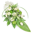 A serene, elongated sympathy spray photographed against a clear white backdrop, this arrangement reads as a quiet, tactile poem of whites and greens. At its heart are creamy white roses in varied stages-some unfurling wide with soft, layered petals that suggest a gentle, lingering scent, others held tight in poised buds-nestled into a plush bed of deep glossy foliage. Sculptural white Calla lilies rise like smooth porcelain trumpets, their clean, graphic curves introducing a modern calm to the composition. Scattered among the blooms are lime-green button chrysanthemums, small, spherical and textural, their mossy surfaces offering a bright, almost dewy contrast that lifts the palette. Feathery sprays of baby's breath (Gypsophila) float between the stronger forms, adding an airy, cloud-like softness that diffuses the light across the bouquet. Variegated leaves with crisp white stripes and fern fronds form a layered backdrop, while long, graceful blades of vivid green arch across the top and sides to create movement and a contemporary silhouette. The whole composition narrows into a sleek, broad bright-green tropical leaf at the tail, finishing the teardrop shape with polished simplicity. A tasteful cream ribbon bow sits at the upper left, its matte texture quietly formal. The overall effect is one of respectful dignity and peaceful restraint-an arrangement suitable for a funeral or memorial service, conveying consolation and memory. As a local florist in Oxford I often place similar sprays near the Radcliffe Camera or Christ Church Meadow for wakes and services; the design's neutral tones and clean lines sit naturally alongside traditional memorial settings in the city.