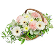 A serene, thoughtfully composed floral basket arranged to read as a quiet, comforting presence. At the center several pristine white Gerbera daisies stand tall, their broad petals opening around striking deep brown-to-black discs that provide a grounding contrast to the soft palette. Around them, clusters of pale pink carnations ripple with ruffled texture, their frothy layers imparting a gentle, embracing softness. Scattered between the larger blooms are small, daisy-like sprays in white and pale buttery yellow - likely spray chrysanthemums or asters - which pad the composition with a plush, luminous fullness. Tiny star-shaped purple and soft blue accent flowers peek through the foliage, offering cool punctuation and delicate fragrance against the warmer tones. The flowers are set into a rustic, light-brown woven basket with a sturdy, curved wooden handle arcing over the top; the willow-like weave and natural grain of the strips read as handmade and reassuringly tactile. A variety of fresh greenery grounds the bouquet: rounded, silvery-green eucalyptus leaves give a soothing, aromatic sweep while glossy, darker ruscus branches trail gracefully from the left, lending a soft cascade and directional flow. The lighting is bright but gentle and very even, which highlights each petal's texture and the subtle sheen of the leaves, making the arrangement feel vivid and alive. Whether placed as a tranquil centerpiece, offered as a thoughtful sympathy tribute, or given to comfort a friend, this basket conveys purity, calm, and considered care-an arrangement that calms the room and the heart.