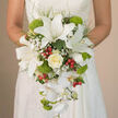 The image captures a bride holding a luxurious cascading bouquet, the flowers spilling gently over her hands and resting against the subtle off-white lace of her wedding gown. At the centre, several pristine white oriental lilies open with quiet drama, their trumpet-shaped blooms revealing soft speckles of reddish-brown and long, elegant stamens dusted with pollen. Tucked close is a single creamy ivory rose, its tightly swirling petals arranged with the precision of a Radcliffe Camera spiral staircase, creating a calm focal point amid the cascade. Around these main blooms, sprigs of delicate white baby's breath thread through the design like a fine mist, filling any gaps with airy lightness. Stretching downwards, white Phalaenopsis orchids trail gracefully, each flat flower curving slightly, giving the bouquet a sense of movement, as if it were swaying in the light breeze that often crosses Oxford's Broad Street. Dotted throughout are vivid lime-green cushions of Green Trick dianthus, their mossy, tactile texture bringing a playful, modern twist to the otherwise classic white palette. Bright red hypericum berries punctuate the arrangement, adding tiny bursts of colour that feel joyful rather than bold. Slender strands of wispy greenery and deeper green leaves peek out at the edges, framing the blooms and adding depth. Crafted with the care of an experienced local florist, this cascading wedding bouquet feels both timeless and contemporary, ideal for a bride exchanging vows in an Oxfordshire barn or one of the city's elegant registry venues.
