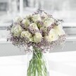 A serene white and lavender bouquet rests in a clear cylindrical glass vase, its mood as calm and luminous as an early Oxford morning along the Cherwell. At the heart of the arrangement, creamy white roses open in perfect spirals, each petal softly layered and slightly translucent, as though lit from within by the gentle, natural light falling across the scene. Around them, airy sprays of pale lilac limonium, sometimes called sea lavender, form a delicate mist, their tiny clustered blooms creating a fine, cloud-like texture that contrasts beautifully with the smooth, velvety rose petals. The stems are visible through the water in the vase, a tangle of fresh green lines that lend a sense of honesty and simplicity, much like the relaxed elegance of a North Oxford townhouse interior. The overall palette is restrained yet emotionally rich: cool whites, tender lavender tones, and clean greens suggesting purity, hope, and quiet reflection. You can almost imagine the faint fragrance-a blend of soft rose sweetness and the faint herbal dryness of the limonium-drifting through a sunlit sitting room off the Banbury Road. The composition feels carefully considered but never fussy, with each bloom given space to breathe. It would sit beautifully on a bedside table, a writing desk, or a hallway console, offering a moment of stillness in a busy day. This is a bouquet that would be chosen for gentle sympathy, a thoughtful get-well wish to the JR Hospital area, or a peaceful accent for a minimalist home near Port Meadow, carrying with it a subtle message of tenderness and renewed calm.