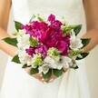 A close-up bridal photograph shows a woman in a white lace wedding gown cradling a round, hand-tied bouquet bursting with lush colour and texture, the kind of design often carried at Oxford ceremonies near the Bodleian or along the River Thames. At the heart of the bouquet, large fuchsia and magenta peonies dominate the view, their densely ruffled petals layered like silk, forming a soft, luxurious mound of colour that seems almost to glow against the dress. Between these bold blossoms, crisp white alstroemeria - Peruvian lilies - tuck in gracefully, each flared petal marked with fine burgundy speckles and delicate striping that adds a sense of movement and detail when you look closely. Slim, spiky green buds and textural filler flowers weave through the design, their bright, almost lime-green tones creating a lively contrast with the deep pinks and clean whites, and suggesting the fresh scent of a garden after rain in University Parks. Deep, glossy green leaves frame the whole arrangement, curving around the edge of the bouquet to anchor the colours and give it a polished, professional finish. The bride's hands are visible at the base, fingers gently clasped around the stems, with neat, light-pink manicured nails echoing the softness of the petals. The background is softly blurred, so the viewer's attention rests entirely on the flowers and the subtle sheen of the wedding gown. The image captures that intimate, just-before-the-ceremony moment: a bouquet that feels joyful yet elegant, ideal for spring and summer weddings in Oxford, from historic college chapels to romantic barn venues on the edge of the city.