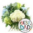 This image presents a joyful Father's Day arrangement, carefully styled against a clear white background so every detail of the flowers and balloon stands out. On the left, a generous hand-tied bouquet of hydrangeas fills the frame, creating a rounded, cloud-like shape of soft petals and layered foliage. At its heart, several large heads of creamy white hydrangeas form a gentle focal point, their many small petals overlapping like delicate tissue, giving a plush, cushiony appearance. Around them, light-blue hydrangeas add a cool, relaxed feeling, as calming as a quiet walk through Christ Church Meadow in Oxford, while bright lime-green hydrangeas tucked along the lower edge and the right side bring a crisp, energetic contrast. Between the blooms, silvery eucalyptus stems with their round, muted leaves weave gracefully, joined by darker green foliage that adds structure and depth and hints at a fresh, green scent. The stems at the bottom are visible and neatly gathered, suggesting the bouquet has just been finished and is ready for same-day delivery to dads across Oxford. To the lower right, slightly overlapping the flowers, a shiny, circular foil balloon draws the eye. Its central field is white, framed by smart black-and-white stripes along the top and bottom. The message For the BEST DAD EVER! is splashed across the centre in playful, colourful lettering: each letter of BEST and DAD appears in different patterns and shades of red, teal, green, and black. A small No. 1 rosette emblem sits near the word BEST, while scattered stars and tiny confetti dots in bold, bright colours dance across the balloon's surface. Together, the cool hydrangea palette and the lively balloon capture the warmth, pride, and celebration of honouring a much-loved father in Oxford.