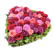 A lush, heart-shaped floral tribute photographed against a pure white backdrop and seen from a slightly elevated, overhead angle so the full, symmetrical form reads clearly. At the centre a dense, opulent mass of garden roses is packed so tightly the blossoms form a sculpted mosaic of colour: deep, velvety crimsons and burgundies set beside softer blush pinks, brighter fuchsia notes and richer purplish-magenta blooms. Each rose sits at the peak of freshness - some petals still gently furled, others unfurling in layered, ruffled cups that catch the light and suggest a velvety touch. Surrounding this colourful heart is a deliberate, fine fringe of deep green foliage - small textured leaves and sprigs that create a defined, living border and a subtle woodland contrast. Tiny dark red berries or pinhead accent flowers are tucked into the greenery, adding tiny pockets of shadow and extra visual depth. The lighting is even and bright, highlighting the satin sheen of petals, the porous texture of the foliage and the crisp outline of the heart against the white space. You can almost sense the faint, classic fragrance of roses and the careful weight of the composition in the hands of an experienced florist. The arrangement reads as both a declaration of romantic devotion and a comforting emblem for remembrance: suitable for anniversaries, Valentine's gestures, or as a tender expression at a funeral or celebration of life. As a local florist would note for customers in Oxford - from the Covered Market to the Botanic Garden - this piece balances romantic theatre with quiet grace, offering clear visual symbolism and tactile richness that translates across photographs and in-person presentations.