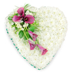In this photograph, a large heart-shaped floral tribute lies against a spotless white background, giving full focus to its texture and detail. The entire surface of the heart is meticulously packed with small, snowy white spray chrysanthemums, each one placed so closely that together they form a smooth, velvety cushion of petals, suggesting purity, peace, and gentle remembrance. Tracing the outer edge of the design is a neatly finished band of emerald green ribbon, its satin shine outlining the heart with a crisp, elegant frame and adding a touch of rich colour that feels both fresh and dignified. Sweeping across the upper left side of the heart, and extending on a graceful diagonal towards the lower centre, is a striking spray of deep magenta and fuchsia calla lilies. Some of these lilies are fully open, revealing prominent dark central spadices, while others curve and taper downwards, their trumpet-shaped forms creating a natural flow across the white chrysanthemum base. Between the lilies sit small clusters of white freesia or similar dainty blossoms, which introduce a lighter, airy texture and hint at a soft, sweet fragrance. Surrounding and supporting the focal spray is an array of lush green foliage: fine, feathery ferns, broader glossy leaves, and the sleek greenery of the calla lilies themselves. The overall design feels balanced and carefully considered, the kind of heartfelt piece families in Oxford might choose when arranging funeral flowers with Flowers Oxford, whether for a quiet service in Summertown or a farewell gathering near the city centre, to express deep love, gratitude, and farewell in a single, graceful floral heart.