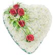 A traditional heart-shaped funeral tribute is shown, floating visually against a pure white background so that its colours and textures become the full focus. The heart is completely filled with countless small white chrysanthemums, packed closely together to form a smooth, padded surface that looks soft to the touch, like a gentle cushion of snow. This pristine white base symbolises peace and remembrance, echoing the quiet atmosphere of an Oxford church or chapel during a service of farewell. At the upper left side of the heart, three deep red roses are grouped together, their velvety petals rich and full, framed by sprigs of dainty white filler flowers and a selection of lush greenery. Among the foliage are shiny, dark green leaves and finer, airy fronds that soften the edges of the cluster. From this grouping, slender strands of bright green ornamental grass sweep diagonally across the heart, guiding the eye toward two additional red roses placed lower and to the right, forming a gentle diagonal line of colour and meaning. Completing the design, a dark green satin ribbon traces the entire outer edge of the heart, pleated and smoothed into a refined border that gives the arrangement a polished finish. The overall effect is one of quiet dignity and deep affection, the kind of tribute many families in Oxford choose for funeral flower delivery to express love, sympathy, and lasting remembrance for someone dearly missed.
