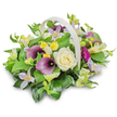 The photograph captures a graceful sympathy flower basket arranged with the care and balance you might expect from a seasoned Oxford florist creating a tribute for a local family. The basket is woven in a soft off-white or cream shade, with a smooth, arching handle that rises over the blooms and then disappears into the clean white background, giving the whole piece a floating, almost weightless quality. At its heart, a single creamy white rose unfolds in a spiral of velvety petals, embodying purity and calm. Nearby, two deep purple calla lilies curve elegantly upwards, their sleek, trumpet-like forms adding depth and a muted richness well suited to funeral flowers. Threaded between them, starry clematis-style flowers in gentle lavender and lilac tones, each with a tiny yellow centre, bring a touch of delicate romance, echoing the soft florals you might see in Oxford's college gardens. Pops of bright yellow blossoms, similar to freesia or alstroemeria, and small white flowers are scattered through the design, lifting the mood with quiet hints of hope. To the right, a single magenta gerbera-like bloom emerges from the greenery, its bold, daisy-like petals offering a personal, heartfelt accent. All the flowers are cradled in a full bed of foliage: broad, glossy green leaves provide structure, while finer, lighter sprigs add airiness and natural movement. The arrangement's rounded, abundant shape and harmonious palette of white, purple, yellow, and magenta create a serene, respectful tribute, ideal for delivery to an Oxford chapel, crematorium, or family home as a gentle expression of condolence and remembrance.