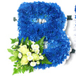 In this photograph, a large floral letter B stands out in confident blue against a simple white background, the style echoing the thoughtful funeral arrangements often requested across Oxford and its nearby villages. The body of the letter is entirely formed from royal blue chrysanthemums, each bloom set closely beside the next so that the surface appears velvety and full, like a rich textile. Their layered petals create gentle shadows and highlights, and the slight variations in shade lend a painterly depth to the piece. A white satin ribbon frames the outer edge and line of the inner cut-outs, gathered into a soft ruffle that traces every curve of the B. This crisp white trim both defines the letterform and adds a touch of elegance, tempering the strength of the blue with a sense of quiet grace. Anchored to the lower left side of the letter is a complementary cluster of lighter flowers. Creamy white roses in different stages of opening nestle among sprays of tiny white chrysanthemum blooms that have a daisy-like delicacy. Around them, fresh green foliage-airily textured ferns and broader, slightly variegated leaves-spreads out gently, giving the design a natural, flowing base and drawing the eye downward. The combination of deep blue, soft white, and vibrant green creates a moving tribute that feels both solemn and comforting. It is easy to imagine this floral initial placed beside a tribute card bearing a loved one's name at a funeral service in Oxford, perhaps near parks like South Park or along the quieter lanes off Iffley Road, offering a refined and personal expression of sympathy.