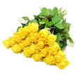 A sweeping arrangement of roughly two dozen long-stemmed yellow roses is captured against a flawless white background, like a sympathy bouquet waiting to leave an Oxford studio for a thoughtful delivery in North Oxford or along Banbury Road. The roses are gathered so that their blooms spread in a loose fan, each flower touching or slightly overlapping the next, creating a continuous band of cheerful yet gentle colour. Petals range from tightly furled at the centre of the youngest buds to softly opening spirals on the more mature blooms, all in shades of sunshine yellow that feel warm without being overpowering. The texture of the petals is velvety and smooth, and the light catches subtle curves and folds, emphasising their natural elegance. Lush, dark green foliage forms a backdrop behind and beneath the flowers, with leaves of varying sizes and shapes adding depth and interest, some edges lightly curling, others lying flat and glossy. The stems emerge together at one side, their fresh, pale green length suggesting they have been cut and arranged with care only hours before. The lighting is bright and even, ensuring that every petal and leaf is clearly defined while keeping the mood serene and balanced. Though yellow roses are often associated with friendship and gratitude, in this setting they also carry a sense of gentle reassurance, making the image fitting for times of condolence or remembrance. It evokes the quiet gesture of sending flowers across Oxford - perhaps to a home near Cowley Road or a peaceful corner of Summertown - as a way to say, simply and sincerely, that someone is not alone in their grief.