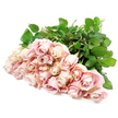A bountiful sweep of pale blush roses is laid gently across a clean white background, the stems aligned and the blossoms fanned outward so that every flower can be seen. There are roughly two dozen roses, each one carefully spaced yet closely gathered, giving the impression of an armful of soft, silken petals cradled by a caring hand. Their colour is a light, muted pink, almost champagne in places, with delicate hints of antique rose and the faintest touch of lavender in the deeper folds. At the outer edges, the petals fade into a creamy, luminous pink, catching the light in a way that makes them seem almost weightless. Some roses are just beginning to open, while others reveal more of their spiral hearts, like quiet stories gradually told, reminiscent of tranquil moments in Oxford's quieter streets around St Giles' or Little Clarendon Street. The dark green foliage beneath is lush and glossy, setting off the pastel blooms with a calm, verdant depth. The overall composition feels airy and uncluttered, thanks to the pure white backdrop that evokes clarity, peace, and reflection. You can imagine a gentle, powdery scent rising from the fresh-cut flowers, offering a soft comfort to anyone nearby. This bouquet speaks in whispers rather than shouts, making it an ideal image of a sympathy arrangement-something a local Oxford florist might create for delivery to a grieving family-expressing empathy, tenderness, and enduring love when spoken words are hard to find.