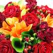 A richly textured bouquet fills the image completely, saturated with the fiery interplay of deep red and bright orange, like the glow of late-afternoon light over Oxford rooftops. In the centre, velvety red roses unfurl in perfect spirals, their petals thick and soft, suggesting classic romance and heartfelt sentiment. Radiating around them, open orange lilies stretch their broad, slightly backward-curving petals, each bloom a dynamic burst of colour that adds excitement and movement. Tucked in among these stars are smaller rosebuds and miniature roses in darker burgundy tones, their compact forms adding shadow, depth, and a hint of vintage luxury, reminiscent of centuries-old college gardens. The flowers are wrapped in an abundant collar of green foliage, with glossy leaves that cradle the blooms and finer, more delicate greenery that weaves between them. A particularly striking leaf in the foreground curls gracefully toward the viewer, its smooth surface catching the light and creating a natural focal point. Scattered throughout are plump, bead-like hypericum berries in a saturated ruby red, their shiny skins picking up highlights and mirroring the richness of the roses. The composition is dense and opulent, every gap thoughtfully filled, yet it still feels airy thanks to the interplay of shapes and textures. Soft, bright lighting gives each petal and berry a fresh, dewy sheen, enhancing the vibrancy of the colour palette. The overall impression is one of warmth, joy, and generous emotion, perfectly suited to celebrating love, marking milestones, or bringing a bold splash of colour to any home or gathering in and around Oxford.