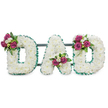 A tender, three-dimensional tribute spells the word DAD in bold capital letters, each letter built from a dense carpet of pristine white chrysanthemums that read soft and cloud-like to the touch. The chrysanthemums create a voluminous, cushiony surface whose tiny petals catch a cool, diffuse light against the plain white background, suggesting quiet dignity and calm. Each letter is crisply outlined with an emerald-green pleated ribbon, its ruffled edge framing the white blooms and lending a respectful, almost ceremonial border. Small clusters of deep magenta roses - some tightly furled, some beginning to open - are nestled into the white expanse: one on the upper left curve of the first D, a second cluster settling into the lower central V of the A, and a final grouping on the upper right curve of the last D. Interspersed among the roses are delicate white freesia and fine dark green foliage that adds depth and a gentle, green fragrance. Behind the letters a subtle dark-green support bar runs horizontally, keeping the piece level for graveside or chapel display. The arrangement's textures - the pillowy chrysanthemums, the velvety rose petals, the crisp ribbon - combine to create an atmosphere of reverence and personal warmth. It reads as a handcrafted, sympathetic message offering love and remembrance, the sort of memorial tribute you might request for a funeral or service in Oxford, whether near University Parks, by the Covered Market, or at a family chapel in Jericho.