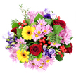 Set against a snowy white background and viewed directly from above, this bouquet forms a perfect circle of colour that feels both joyful and composed, like a floral echo of Oxford's blend of tradition and youthful energy. Deep red roses act as the visual anchor, their velvety petals tightly wrapped in graceful spirals that draw the eye inward. Surrounding them, bright yellow gerbera daisies with pronounced dark centres radiate outwards, offering a burst of sunshine reminiscent of bright beds outside the Ashmolean on a clear day. Between these, soft pink and pale purple chrysanthemums crowd together in generous clusters, their fine, multi-layered petals creating a cushion of softness and subtle movement that tempers the stronger tones. Woven through the arrangement are lisianthus blossoms in shades of rich purple, lavender, and dusky blue, their bell-shaped blooms slightly flared and ruffled, adding an elegant, almost painterly quality. A mix of lush greenery encircles and threads through the flowers - smooth, broad leaves paired with smaller rounded foliage that hints at eucalyptus - giving structure, depth, and a sense of freshness, as though the stems were just trimmed in a nearby Oxford workshop. Bright red hypericum berries, shiny and neatly bunched, are tucked between petals and leaves, catching the light like tiny rubies and lending a playful, seasonal touch. The bouquet feels versatile yet distinctive, ideal for sending congratulations to someone finishing exams, marking an anniversary in Jericho, or simply brightening a townhouse near Cowley Road. Its careful mix of colour, form, and texture reflects the skilled hand of a local florist who understands how to make flowers speak with warmth and sincerity.