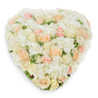Seen from directly above against a clean white backdrop, this heart-shaped floral tribute is densely composed of fresh, fragrant roses and fluffy hydrangea, sculpted into a seamless, three-dimensional form. The palette moves in a soft gradient from radiant whites and warm ivories through pale peach to whispering blush pinks; dozens of roses at varying stages-tight buds, half-open spirals and fully unfurled blooms-create a complex surface of layered petals. Billowing clusters of pure white hydrangea nestle between the roses like clouds, their multi-petaled texture adding volume and a velvety softness that catches the light. Deep green, slightly variegated foliage peeks through at intervals, lending a cool, leafy contrast that lifts the pastel tones and grounds the composition. The heart's edges are meticulously formed so the silhouette reads clearly from this overhead vantage, while a gentle shadow beneath hints at the careful construction and the arrangement's substantial depth. There is a subtle, clean rose scent threaded with green freshness-an overall impression of tender elegance and calm. The mood is quietly reverent and affectionate, suited as a deeply personal emblem of love for weddings or anniversaries, or as a dignified, comforting tribute for memorial services in local chapels or at funeral venues across Oxford. The craftsmanship is evident in the deliberate placement of each bloom, the careful balance of colour and texture, and the natural, handcrafted feel that makes this piece both timeless and intimate for significant life moments.
