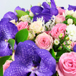 A lavish bouquet fills the frame so completely that the viewer sees nothing but flowers and foliage, creating the impression of leaning in close to inhale their gentle fragrance. At its heart are striking purple Vanda orchids, their generous, velvety petals patterned with darker violet netting, like intricate calligraphy written in colour-dramatic blooms that instantly recall the artistry found in Oxford's museums and quadrangles. Around them, roses are gathered in abundance, spiralling open in tones that range from soft blush pink to richer, medium pinks and creamy white that melts into a subtle pale yellow near the centres. Each rose carries that plush, romantic shape that speaks of care and intimacy. Interrupting the sea of petals are glossy white Hypericum berries, round and waxy, lending a pearl-like brightness that contrasts beautifully with the deeper hues. Small, downy white flowers, likely miniature chrysanthemums or carnations, are scattered through the design like little pockets of light, softening the overall texture. The foliage is rich and layered: smooth, fresh green leaves frame and support the blooms, while delicate, silver-green leaves resembling Dusty Miller thread through with a cool, velvety sheen. Set against a clean, pale background, the bouquet's palette of purples, pinks, creams, and greens appears vivid and harmonious, with every bloom clearly defined. This arrangement feels romantic and quietly luxurious, the kind of design perfect for celebrating an anniversary dinner in central Oxford, sending a thoughtful thank-you to a North Oxford townhouse, or marking a special moment for someone near the Botanic Garden with flowers that look as artful as they feel heartfelt.