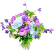 Captured against a clean white background, this opulent bouquet appears almost to float, its colours and shapes clearly defined. At the centre, large, rounded heads of pale sky-blue hydrangea create a plush, cloud-like mass, each cluster densely packed with small, velvety petals that evoke a sense of softness and ease. Weaving through this gentle blue are vivid fuchsia and deep purple orchids, probably Vanda or Phalaenopsis, with broad petals patterned in delicate speckles and fine veins, adding an exotic accent that contrasts beautifully with the hydrangeas' fullness. Rising above and trailing softly at the edges, slender stems of rich purple clematis introduce a more relaxed, garden-inspired feel, their star-shaped or slightly nodding bell blooms giving the whole design movement and height. Scattered among these dramatic flowers, miniature roses in shades of blush pink and creamy white offer subtle romance, their layered petals unfurling like whispered sentiments. The blooms are cradled by abundant green foliage, from glossy, broad leaves to finer, more feathery greens, which deepen the colours and anchor the composition. The stems are gathered and tied neatly, as if just finished on the workbench of an experienced local florist preparing a same-day delivery somewhere between Jericho and Iffley. The overall impression is one of refined celebration and gentle luxury, a bouquet equally suited to brightening a light-filled North Oxford kitchen, gracing a graduation dinner table, or offering comfort and beauty to someone in hospital near the Oxford city centre, with its cool blues and regal purples promoting calm, admiration, and quiet joy.