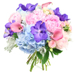 A beautifully rounded bouquet is shown against a simple white background, allowing its pastel and jewel tones to take centre stage. The most prominent flowers are the light pink peonies, their large, fluffy heads composed of many ruffled petals that suggest softness, abundance, and a deeply romantic mood, much like the blossoming trees that line Oxford's quiet residential streets in late spring. Around them, sky-blue hydrangeas spread out in generous, cushiony clusters, creating a cloud-like base that supports and frames the central blooms with serene, cooling colour. Scattered with artistic precision are deep violet Vanda orchids, unmistakable in their flat, open shapes and striking speckled patterns, bringing a bold modern note that contrasts delightfully with the more traditional flowers. Rosy pink and peach-toned calla lilies arc through the bouquet, their sleek, trumpet-shaped forms adding movement and a sense of contemporary elegance, as if gently guiding the eye around the entire arrangement. Threaded throughout, pale pink spray roses offer smaller, tightly petalled blossoms that lend fine detail and a feeling of intimate charm. Dark green leaves emerge here and there, giving depth and structure, while soft, silvery-grey Dusty Miller foliage adds a velvety, frosted texture that cools the palette and enhances the sophisticated look. The stems are neatly gathered and bound at the base, emphasizing the hand-crafted nature of the design. This bouquet feels like a tender, joyful celebration, perfectly suited for engagements, milestone birthdays, or thoughtful congratulations, and would sit beautifully in any Oxford home, from riverside flats near Osney to townhouses close to the High.