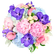 Set against a pure white background, this generous bouquet forms a perfect dome of colour and texture, carefully balanced to feel both lush and elegant. At the centre, large pastel pink peonies bloom in soft, layered ruffles, their petal-packed heads giving a sense of romance and fullness, like cherished garden flowers after gentle rain in an Oxford courtyard. Encircling them, rounded clusters of sky blue hydrangeas offer a cool, calming contrast, each head made up of countless tiny petals that together create a pillowy, cloud-like effect. Threaded through these softer tones, bold fuchsia-purple Vanda orchids stand out confidently, their speckled petals and vivid colour adding a touch of exotic sophistication that immediately draws attention. Graceful coral pink calla lilies extend from the arrangement with elegant, trumpet-shaped curves, providing sleek lines that lend motion and modern style. Nestled between the larger blooms, petite blush and cream spray roses fill the small pockets of space, their tighter buds and delicate petals adding refinement and a suggestion of light, sweet fragrance. The flowers are supported by a base of lush greenery and cool, silvery dusty miller leaves, which introduce depth and gentle contrast, much like the varied foliage seen along Oxford's leafy streets and riverside walks. The overall impression is of a thoughtfully crafted, luxurious bouquet that would feel at home at a sophisticated event near the Sheldonian Theatre or as a meaningful gift delivered across Oxford. It carries a mood of celebration, tenderness, and polished beauty, ideal for expressing love, gratitude, or admiration.