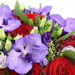 The image presents a lavish bouquet captured in close-up, each bloom filling the frame with colour and emotion, as though arranged for an intimate celebration in an Oxford townhouse near Christ Church Meadow. Dominant among the flowers are magnificent Vanda orchids, their broad petals layered in soft lavender, light violet, and deep amethyst tones, all delicately flecked with darker purple markings that lend an exotic, high-end feel. Weaving through and beneath these orchids are sumptuous crimson red roses, their velvety petals coiled tightly into classic spirals that radiate passion and enduring love. Between them, deep royal purple lisianthus blossoms add softness, some flowers open and gently ruffled, others still held in sleek lime-green buds that speak of fresh beginnings and the evolving nature of romance. Surrounding the blooms, a collar of rich emerald foliage curves protectively, leaves overlapping in varying shapes and sizes, enhancing the jewel-like colours above. Wisps of light chartreuse-green filler and small berries peek out here and there, adding a touch of airy texture and preventing the arrangement from feeling too rigid. The bouquet is photographed in gentle, natural light, which warms the reds, cools the purples, and reveals shadows nestled within each petal fold. Everything is densely packed yet carefully balanced, creating a sense of abundance that suits milestone anniversaries, Valentine's surprises, or special birthdays celebrated across Oxford-from Jericho townhouses to riverside flats in Iffley. The composition conveys not only floral beauty, but also the emotional weight of a thoughtfully chosen gift: romantic, sophisticated, and deeply personal.