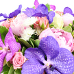 Against a spotless white background, this abundant bouquet seems to float, every flower clearly defined as though just finished in an Oxford flower studio before same-day delivery. At its centre, bold Vanda orchids in shades of lavender and deep, inky purple draw the eye, their wide petals patterned with fine, web-like veining that gives them a luxe, almost textile quality. These striking orchids are cradled by plush peonies unfolding in soft, voluminous layers, moving from pale, powdery pink at the outer petals to deeper blush tones at their hearts, like the changing light over Oxford's spires at sunset. Between them, pink roses in both tight bud and full bloom add a familiar, romantic touch, their neatly curled petals forming classic rosettes that speak of affection and celebration, perfect for gifting in areas from Headington to Cowley Road. Sprinkled throughout, small white chrysanthemum-style blooms with spiky, pom-pom textures lend brightness and air, their crisp whiteness standing out vividly against the surrounding colour. All of this is encircled and supported by lush green foliage, leaves glossy and substantial, with occasional variegated edges catching the light and giving depth. The flowers are densely packed, forming a rounded, overflowing arrangement that feels luxurious yet welcoming, like a generous embrace. The overall mood is elegant and joyful, ideal for marking special moments-birthdays, promotions, graduations from the nearby colleges-or simply bringing a sense of refined beauty and fresh fragrance into an Oxford home or office.