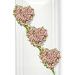 A graceful three-heart funeral tribute of roses is displayed here, drifting diagonally across a bright, uncluttered white background that allows every detail to breathe. Each heart is fully covered with small, closely set roses in dusty mauve, soft lavender, and pale pastel pink, their densely layered petals creating a rich yet gentle texture, like a tapestry of remembrance. The hearts appear to float one beneath the other, moving from the top left down toward the bottom right, giving a sense of slow, peaceful descent. Around their edges and flowing between them, slender tendrils of green ivy are woven with care, the leaves catching the light and adding fresh, natural contrast to the muted roses. This ivy acts almost like a living ribbon, linking the three hearts together in a continuous line, suggesting love that travels from one generation to the next or from one life chapter to another. The lighting is soft and even, with subtle vertical reflections in the background hinting at a modern, polished setting, perhaps similar to the calm interiors of Oxford crematorium chapels or quiet parish churches near Jericho or Headington. The overall impression is one of quiet elegance and heartfelt emotion, ideal for a funeral, memorial, or celebration of life in Oxford. The trio of hearts, with their soothing colours and trailing greenery, conveys a message of gentle farewell, cherished memories, and an unbroken bond that remains even after parting.