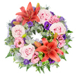 A richly detailed circular wreath is displayed on a spotless white background, its flowers forming a gentle yet striking tribute that would look at home at a funeral or remembrance gathering anywhere in Oxford, from Cowley Road chapels to quiet services near Headington. The eye is immediately drawn to two bold Asiatic lilies in deep coral-orange, one opening along the top of the ring and another echoing it nearer the bottom. Their broad petals, each with subtle shading and a soft sheen, cradle dark stamens at the centre and bring a sense of warmth and courage to the arrangement.
All around them, clusters of full-blown roses in blush and light pink-lavender tones nestle closely together. Their many petals, unfurling in tight spirals, give the wreath a plush, velvety look that feels comforting and serene. Interwoven through the roses are lisianthus blooms in soft pink and rich purple hues; their ruffled, cup-shaped petals add movement, as though the flowers were gently stirring in a quiet breeze. Fine sprays of tiny lavender-blue filler flowers, reminiscent of statice, weave through the design, creating a soft, mist-like texture and linking one cluster of blooms to the next.
Blue-grey eryngium thistles add a distinctive, spiky contrast, their cool tones echoing the calm of an overcast Oxford sky. Beneath the blossoms, the wreath is underpinned by layered greenery: silvery eucalyptus leaves, feathery ferns, and deeper green foliage provide a strong, natural base. Bright green folded leaves, carefully shaped near the lilies, give the design a precise, contemporary touch. A few unopened lily buds are tucked among the foliage, hinting at life and remembrance continuing beyond the ceremony, and completing a tribute that speaks of enduring love and respect.