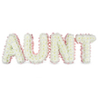 This image shows a heartfelt floral tribute carefully arranged to spell AUNT in four substantial, upright block letters made entirely from white chrysanthemums. Each letter is fully covered in small, daisy-like blooms whose many soft petals overlap to create a thick, cushiony texture, giving the impression of a continuous blanket of white. The occasional glimpse of warm, creamy-yellow centres adds just enough variation to keep the surface lively without disturbing its purity. Embracing every letter is a border of pale pink satin ribbon, gently ruched and ruffled along the edges. The satin's soft sheen catches the light, providing a delicate, feminine frame that contrasts gracefully with the matte petals and subtly defines the outline of each character. The letters sit in a straight, even line on an unseen support, photographed against a bright white background that keeps the focus entirely on the floral artistry. The lighting is crisp and neutral, revealing the intricate structure of each flower and the precise placement that goes into such a bespoke memorial piece. Overall, the design conveys quiet elegance and deep affection, the sort of personalised funeral arrangement a family in Oxford might select for a service at a local church near Headington Hill Park or a crematorium on the edge of the city. It feels like a loving final message, created by a skilled florist who understands how important it is for sympathy flowers to offer comfort, honour shared stories, and preserve the memory of a much-loved aunt.