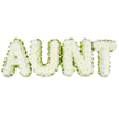 The image depicts an elegant funeral flower tribute spelling the word AUNT in large, upright capital letters composed entirely of white chrysanthemums. Each letter is filled from edge to edge with small, neat chrysanthemum heads, packed closely together so the surface appears smooth, full, and softly textured, like a snowy cushion of petals. The blooms are a clean, luminous white, with subtle highlights and shadows that bring a gentle sense of depth to the overall design. Around every letter runs a continuous border of fresh green, either foliage or ribbon, which provides a clear outline and a fresh, natural contrast to the white flowers within. This green edging gives the tribute structure and definition, making the word easy to read even from a distance, such as in a chapel or crematorium setting in Oxford, from Littlemore to Marston. There are no other colours or decorative elements, just the calm pairing of white and green, chosen for their associations with peace, purity, and remembrance. The letters sit aligned in a straight row against a plain white background, creating a composed, uncluttered presentation that reflects quiet dignity. It feels like a bespoke piece a family might order from Flowers Oxford for same-day delivery to a local service, when they wish to say farewell to a much-loved aunt in a way that is understated yet deeply heartfelt, allowing this simple word rendered in flowers to carry a lifetime of shared memories and affection.