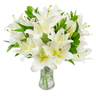 A generous, museum-quiet bouquet of pure white lilies fills the frame, each trumpet-shaped bloom captured at peak freshness in a simple clear-glass vase. The petals are a luminous, unblemished white, unfolding in broad, satiny layers that catch a soft, diffuse light and reveal a gentle creamy-yellow wash at each flower's throat. From several open blossoms slender stamens extend-pale greenish-yellow filaments tipped with warm, earthy brown anthers and fine dustings of pollen-adding delicate, tactile texture against the smooth petals. Deep, lance-shaped leaves in a rich, verdant green weave through the massed flowers, their glossy surfaces and pointed tips offering a sculptural contrast that makes the arrangement feel both abundant and composed. The slender, pale-green stems are visible through the transparent water in the vase, the liquid catching highlights that underscore the bouquet's freshness and careful conditioning. The overall impression is one of serene elegance: a floral statement that reads as calm, pure, and quietly reverent. As a local Oxford florist I picture this arrangement sitting on a polished table near the Covered Market or on a window ledge overlooking University Parks, the lilies' subtle fragrance spreading like a soft promise through a morning room. This is a bouquet suited to moments of reflection-sympathy, remembrance, or a refined housewarming-conveying peace and dignity with an unspoken grace that lives in both sight and scent.