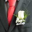 A close-up photograph centres on the left lapel of a charcoal grey suit jacket, capturing the kind of polished elegance often seen at Oxford wedding venues around the Bodleian or along the historic High Street. The fabric of the suit looks like a fine wool blend, with a gentle sheen and crisp, precise stitching tracing the lapel's edge and the small welt pocket just beneath. Under the jacket sits a light dress shirt with a subtle check pattern, its soft grid of pale tones adding quiet texture, while a bold red tie in a smooth, almost satin finish runs straight down the middle of the frame, its knot tightened neatly at the collar. Pinned perfectly to the lapel is a single white rose boutonniere, the true focal point of the image. The rosebud is creamy and velvety, its petals tightly furled in a spiral that suggests freshness and care, like it has just been conditioned in a local florist's studio that morning. Around it, tiny white clusters of baby's breath form a cloud-like halo, each flower a pinprick of brightness against the darker suit. Wisps of fine greenery and a few more substantial deep green leaves cradle the bloom, their shapes adding movement and a touch of natural softness. At the base, a delicate white ribbon is tied into a neat little bow, concealing the stems and securing the arrangement to the lapel. The overall mood is one of quiet pride and anticipation, a groom or honoured guest dressed for a celebration in Oxford where every detail, down to this single rose, has been chosen with intention and affection.