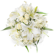Viewed from above against a clean white backdrop, this perfectly round bouquet reads as a study in white and cream: large, trumpet-shaped white lilies sit at the heart with their wide, gently curving petals and pale yellow-green stamens visible at the centre, their surfaces catching a soft, diffuse light. Nestled closely around and between the lilies are creamy ivory roses, many held as tight buds or only half-open, their velvety layers forming a delicate, sculpted texture that softens the arrangement. Sprays of tiny white Baby's Breath (Gypsophila) tumble through the composition like a fine, airy mist, filling pockets with a cloud-like softness and intricate detail. Small, glossy green leaves peek from the perimeter and underneath the blooms, offering a cool, verdant punctuation that lifts the monochrome palette. The overall feel is calm and timeless - purity made tactile: you can almost sense the lilies' whisper of sweet perfume and the roses' low, honeyed scent, a gentle fragrance that suits weddings, christenings or moments of quiet consolation. The compact, symmetrical packing and carefully balanced proportions show a practiced hand, the kind of thoughtful construction a local florist in Oxford would choose for a bridal posy or a refined centrepiece for a reception near the Bodleian or the Covered Market. Bathed in soft natural light, the bouquet radiates understated elegance and a sense of new beginnings, an image that speaks to tradition, celebration and serene devotion without fuss.