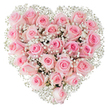 A meticulously arranged heart formed from dozens of soft pink roses fills the frame against a flawless white background, each bloom carefully placed so the heart reads as a single, velvety surface. The roses range from a pale blush at the outer petals to a slightly deeper pink toward the centres; some are tightly furled buds, others open into gentle spirals that catch the light and create subtle shadow and depth. Scattered throughout like a whisper of cloud are countless tiny white gypsophila (baby's breath) florets, their fine branching stems and pinhead blossoms giving an ethereal, lace-like texture that both brightens and defines the heart's edge. The lighting is bright and clear, revealing dew-fresh petal surfaces and the faint, sweet scent that pink roses carry - a soft, comforting perfume rather than a heady perfume - which suggests the arrangement was assembled early that morning. From the viewpoint of a local florist, the dense packing and symmetrical shaping take careful wiring and padding beneath the flowers to hold the heart's silhouette without crushing fragile petals. The overall mood is intimate and tender, a quiet declaration of affection suited for anniversaries, Valentine's gestures, weddings, or a gentle condolence. The composition reads as classic and timeless: restrained, elegant, and deeply sentimental, designed to be both seen and felt. Imagine this heart of roses presented in an Oxford parlour, carrying a message of devotion that's as much about touch and scent as it is about colour and form.