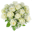 A quietly elegant dome of approximately two dozen freshly opened white roses arranged with generous clouds of baby's breath, photographed against a luminous white background. The roses are the immediate focus: each blossom shows a creamy, tight inner spiral of petals that lightens toward crisp, pure white outer petals, their velvety texture catching the soft studio light so the edges seem almost translucent. Interspersed between the larger blooms are fine sprays of gypsophila, their tiny star-like flowers forming a lacy mist that softens the bouquet's silhouette and introduces an airy counterpoint to the roses' substantial petals. Glossy deep-green foliage peeks from beneath, its cool tone framing each head and lending gentle depth to the arrangement without distracting from the white-on-white palette. From the vantage of a local florist I imagine this piece resting on a table near the Covered Market, where morning light and quiet conversation would suit its restrained beauty; it also carries the calm required at a riverside memorial by Magdalen Bridge or as the bride's hand-tied posy in a chapel close to the Botanic Garden. The scent is understated - a faint, clean sweetness that recalls early summer mornings in Oxford - and the overall impression is one of purity, reverence, and tranquil luxury. Designed to convey sympathy, celebrate a new beginning, or compliment the serene elegance of an anniversary or christening, this classic pairing of white roses and gypsophila reads as timeless and composed, a bouquet that speaks softly and with intent to those gathered in life's most meaningful moments.