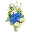 A tall, serene floral arrangement stands against a clean white backdrop, its composition speaking of quiet elegance and fresh morning light. At the heart sits a generous, rounded cluster of deep blue hydrangeas - velvety, cool-toned petals packed tightly to form a plush, cloud-like focal point. Around their lower and outer edges nestle several creamy white roses, each bloom unfurling in soft spirals of velvety petals that invite a gentle touch. Rising above the central mass, two or three slender white calla lilies extend like sculpted trumpets, their smooth, porcelain-like spathes catching the light and lending a graceful vertical silhouette. Interspersed among the lilies and hydrangeas are delicate white spires of snapdragon- or stock-like blooms, adding a whimsical, laddered texture and additional height that leads the eye upward. Throughout, lush green foliage-broad, glossy leaves reminiscent of salal or lemon leaf and feathery, light-green fern fronds possibly leatherleaf-brings depth and a natural, garden-picked feel, their varied textures softening the arrangement's outline. The stems are neatly gathered and visible through the clear glass vase, which holds clean water and reflects the room's soft illumination. Scent is understated: the faint, sweet perfume of roses tempered by the clean, green notes of hydrangea and foliage. This composition reads as both a dignified sympathy tribute and a refined centerpiece for an anniversary or quiet celebration. Locally crafted with care in Oxford, it would suit an intimate room near the Covered Market, a bedside in Jericho, or a mantel beneath the soft light of a St Giles window.
