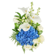 A serene, vertical bouquet pictured against a clean white background, where a plush dome of deep blue hydrangea forms the visual anchor and invites the eye with hundreds of tiny, jewel-toned florets. Rising above and around that rich blue centre, three sculptural white calla lilies tilt with quiet dignity; their smooth, waxy petals curl into elegant trumpets, each revealing a slim, pale yellow spadix that catches a soft, natural light. Scattered among these are classic creamy white roses, their layered petals unfurling with a gentle fullness that softens the composition and lends a familiar, comforting fragrance. Slender spikes of white stock or snapdragon-like blooms add vertical lift and an airy rhythm, their clustered flowers offering delicate texture against the broader shapes. The arrangement is set off by generous green foliage - broad glossy leaves that give deep contrast and feathery leatherleaf fern fronds that add a fine, lacy texture - creating depth, movement, and a garden-fresh feel. The overall mood is one of quiet sophistication and calming restraint, a palette that reads as both peaceful and celebratory: appropriate for sympathy, remembrance, anniversaries, or to convey heartfelt admiration. The lighting is soft and even, letting the whites glow and the blues remain crisp, and the bouquet's craftsmanship suggests a careful hand and a knowledge of balanced form. For local customers in Oxford, this style echoes the cool tones of the Cherwell on a clear morning and the curated calm of a walk through University Parks - an arrangement that soothes as much as it honours.