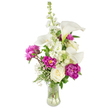 A celebratory bouquet that reads like a short love letter: upright white calla lilies curve gently upward, their satin-smooth trumpets and pale yellow spadices cutting clean, architectural lines against a soft white backdrop. Around their bases, two lavish magenta peonies unfurl in full, ruffled rosettes of deep fuchsia, while a smaller, tightly furled peony bud on a visible stem promises another bloom to come. A single creamy white rose sits tucked low near the centre, its tight spiral of petals offering a quiet, classic contrast to the peonies' exuberance. A tall spire of white stock - its clustered, delicate florets - and touches of white larkspur add verticality and a gentle, old-fashioned fragrance, while feathery sprays of baby's breath weave through the composition like clouds, lending an ethereal lightness. Lush, varied greenery - slender, fern-like fronds mixed with broader glossy leaves - gives the bouquet depth and a fresh, garden-picked feel. All stems are visible through a gently curved clear glass vase, water clinking softly around them and anchoring the arrangement in honest simplicity. The palette of white and deep magenta, the play of sculptural lines against soft ruffles, and the mingled scents of cool calla and honeyed peony make this an ideal choice for birthdays, anniversaries, or to mark new beginnings. As a florist working in Oxford's neighbourhoods from Summertown to Jericho, I imagine this piece standing on a dining table after a quiet celebration, catching morning light and bringing a composed, joyful presence to the room.
