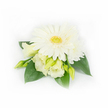 A small, refined corsage captured against a clean white backdrop, this piece centres on a single, fully open white Gerbera daisy whose smooth, symmetrically layered petals radiate out from a textured yellow-green eye. Around its base, creamy Lisianthus (Eustoma) blooms and buds create gentle ruffles and soft shadowed folds - some petals just beginning to unfurl in a buttery ivory that deepens subtly toward the heart of each flower. A petite, layered white chrysanthemum or daisy peeks from the upper right, adding a delicate note of fullness. Slim, pale green Eustoma buds are threaded through the cluster, hinting at future opening and lending a sense of movement, while several broad, glossy emerald leaves form a deep, cool backdrop that anchors the arrangement and makes the whites sing. On the right, a trio of tiny, pearl-like beads is tucked among the foliage, catching the light and suggesting quiet formality - exactly the understated luxury suited to a wedding lapel, graduation, or a formal service at the Sheldonian Theatre. The lighting is soft and diffuse, revealing the velvety texture of the petals and the sheen on the leaves without harsh shadows; one can almost imagine a faint, clean scent of fresh blossoms and morning dew. As a florist who sources locally, I picture this pinned for a Botanic Garden ceremony or borne down the stone streets of Oxford, its neutral palette complementing both traditional gowns and modern suiting. The composition reads as gentle, purposeful craftsmanship: neat, breathable, and designed to sit comfortably on a jacket or sash, offering quiet elegance and a fresh, garden-picked impression.