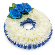 A serene, circular funeral wreath arranged with meticulous care: a full, domed ring of pristine white chrysanthemums forms the body, their feathery, multi-petalled blooms packed so closely they read as a soft, cloud-like cushion. From a slightly elevated viewpoint you can sense the gentle dome and the way a pale shadow falls beneath the wreath on the clean white backdrop, giving the arrangement a quiet presence and depth. At the upper-left quadrant, three deep sapphire-blue roses rise as a composed focal cluster; their velvety, tightly spiralled petals are saturated with colour and nestle into glossy, dark green foliage that frames each bloom and amplifies the contrast with the snow-white chrysanthemums. A pleated satin ribbon in matching cobalt blue traces both the outer and inner rims of the chrysanthemum ring, its subtle sheen catching the studio light in soft highlights and lending the piece a refined, ribboned border. The textures are tactile in imagination-the downy chrysanthemum petals, the plush velvet of the roses, the cool smoothness of satiny folds-while the scent, if present, would be faint and comforting, a gentle chrysanthemum musk rather than overpowering perfume. As a florist who has prepared many wreaths for memorials and services around Oxford, I find this palette reads as dignified and consoling: white for remembrance and purity, blue for calm and personal tribute. This wreath is composed to sit near a coffin, at a memorial service, or to be left at a graveside, offering a measured, respectful expression of sympathy that feels both traditional and quietly personal within an Oxford funeral setting.