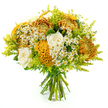 Against a spotless white background, this hand-tied bouquet appears as a vibrant, three-dimensional burst of autumn colour, its stems neatly clasped at the base in green florist's tape. The arrangement forms a generous dome, dominated by large, spiky chrysanthemums in shades of golden yellow, burnt orange, and russet, their many ruffled petals catching the light and creating a sense of rich texture like carpets of leaves in Oxford's college quads. Threaded among these bold blooms are creamy white roses, classic in form, with softly spiralling petals that feel velvety and calm, adding a gentle, romantic balance. Several striking celosia cockscombs in glowing yellow-orange stand out with their velvety, brain-like folds, adding an unusual, sculptural quality that an attentive florist might choose for a client seeking something distinctive. Around them dance clusters of tiny white daisy-like matricaria, each with a sunny yellow centre; these small flowers lend a breezy, informal charm, reminiscent of wild patches along the towpath by the Isis. Feathery lime-green plumes of solidago and layers of lush green foliage cradle the blooms, bringing volume, freshness, and bright contrast that makes the warmer colours appear almost luminous. The lighting is even and clear, showcasing every ridge, petal edge, and leaf vein without distraction. This bouquet conveys warmth, gratitude, and celebration, ideal for an autumn birthday in Headington, a cosy gathering in Summertown, or a same-day seasonal delivery arranged through Flowers Oxford to brighten homes and offices across the city.