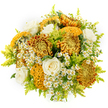 Captured against a pristine white backdrop, this abundant bouquet feels like a pocket of autumn sunshine brought indoors, the kind of design you might see prepared for same-day delivery across central Oxford. Large chrysanthemums in tones of golden honey, deep ochre, and burnished copper create the first impression, their petals layered in rich, ruffled spirals. Some of the blooms are rounded and plush, while others have that distinctive, contoured, almost brain-like texture in mustard and earthy brown, adding intrigue and dimension. Between these more dramatic flowers, several creamy white roses unfold in soft, velvety spirals, their gentle curves bringing a sense of calm, romance, and timeless elegance to the composition. Sprinkled throughout are clusters of petite white daisy-like blossoms-probably feverfew or chamomile-with bright yellow centres that lend a carefree, meadowy spirit, evocative of wildflower patches just beyond the city near Wytham Woods. Slender stems of light, lime-green filler foliage, akin to feathery solidago, weave through the arrangement, punctuating the warm palette with fresh, zesty green and giving the bouquet a light, airy structure. The arrangement is rounded, full, and carefully balanced, without any single flower overpowering the rest, showcasing a professional florist's eye for proportion and harmony. Against the clean white background, the colours glow and the different textures-from velvety rose petals to intricate chrysanthemum ruffles-become beautifully pronounced. This bouquet suits a wide range of occasions, from birthdays and housewarmings to thoughtful thank-you gifts sent to homes from Jericho to Headington, carrying a message of comfort, optimism, and seasonal joy.