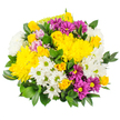 In this photograph, a joyful hand-tied bouquet bursts forward, filled with sunlit yellows, clean whites, and jewel-like purples that suggest a happy celebration somewhere in Oxford. The most striking elements are the plump yellow chrysanthemums, layered with soft petals that form rounded, cushiony domes; some are fully open, others still in the process of unfurling, which gives the arrangement a natural, evolving look. Tucked between them are dainty yellow spray roses, a mixture of tightly closed buds and partially opened blooms, whose gently spiralling centres bring a more delicate, traditional charm to the design. White daisy-style spray chrysanthemums, each finished with a lime-green eye, lace through the bouquet, brightening every corner and reflecting light as if they were tiny stars scattered among the larger flowers. Rich magenta and deep purple daisy chrysanthemums are dotted thoughtfully throughout, their vibrant petals and yellow centres adding contrast, energy, and a festive rhythm, making this an uplifting choice for birthdays, congratulations, or a simple thinking-of-you delivery across areas like Cowley Road, Headington, or North Oxford. Here and there, pale pink or lavender blossoms just peek out, offering gentle tonal shifts that keep the palette soft and approachable rather than overpowering. All of the blooms are supported by a generous collar of dark green, glossy foliage, whose broad leaves curve protectively around the flowers and help define the rounded silhouette. Set against a plain white background, the bouquet looks especially fresh and vivid, evoking feelings of happiness, encouragement, and everyday gratitude, as though it has just been arranged by a caring local florist and is ready to bring warmth into someone's home.