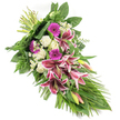 An elongated sympathy spray is presented on a stark white background, its colours and shapes arranged in a gentle diagonal that suggests both movement and stillness, like the quiet streets of Oxford early on a Sunday morning. The design begins at the top left, where the stems are securely tied, and sweeps down to a tapered point at the bottom right, forming a graceful, flowing teardrop. At the centre, large Stargazer lilies open wide, revealing deep fuchsia-pink petals edged in white and speckled with burgundy, their bold markings drawing the gaze and evoking strong emotion. Some lilies remain in bud, slender and green with hints of pink at the tips, bringing a sense of unfolding remembrance. Around them, rich magenta gerbera daisies provide vivid, cheerful colour, while plump, creamy white roses lend a classic, respectful tone. Ruffled white carnations tuck into the gaps, creating a soft cushion of petals and adding gentle volume. Small clusters of dainty white daisy-like flowers scatter light through the design, like tiny stars punctuating the arrangement. The flowers are supported by a lush foundation of greenery: broad, glossy dark green leaves provide structure, feathery fern fronds soften the outline, and long, arching blades of foliage cascade toward the lower right, emphasising the arrangement's elegant length. Crafted with the attention to detail of a local Oxford florist, this tribute feels both personal and refined, suitable for resting beside a coffin at a service near the Bodleian, adorning a chapel in Iffley, or being delivered to a family home in Botley. It conveys sympathy, comfort, and a heartfelt farewell through colour, texture, and quiet beauty.