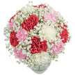 A harmonious dance of colour and texture emerges from this bouquet, freshly prepared in Oxford for special local occasions. Plush carnations in radiant red, delicate blush pink, and soft white form a lush, rounded heart, their petals layered and full of life, reminiscent of Oxford's spring flowerbeds. Delicate clouds of gypsophila surround the carnations, each tiny blossom catching the gentle light-like the early morning mist that drifts along the Cherwell. The balanced composition sits comfortably in a clear glass vase, revealing just a hint of sturdy base below the flurry of blooms. The arrangement's fullness creates an inviting softness, while the varied hues and textures invite a sensory experience; one can almost feel the crisp touch of petals and inhale the faintly spicy, sweet fragrance carried on the Oxford breeze. Ideal for birthdays, anniversaries, or simply as a gesture of affection delivered throughout Oxford's lively neighbourhoods, this bouquet brings an air of quiet celebration and genuine warmth, crafted with the local artistry and care for which Oxford's florists are known.