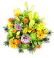 A lush, mounded bouquet set against a crisp white background, rendered in a radiant chorus of warm yellows, pumpkin-orange and fresh chartreuse greens with cool blue-grey accents. Several yellow Asiatic lilies dominate the top layer-some fully unfurled with speckled throats and exposed stamens, others still elegant, elongated buds reaching upward and lending vertical punctuation to the composition. Soft lavender-purple roses are tucked into the heart of the design, their spiralling petals introducing a gentle, romantic pause amid the brighter tones. Large orange Gerbera daisies fan their flat petals out like miniature suns, centred by darker discs that draw the eye, while abundant lime-green button or cushion chrysanthemums create plush, ruffled mounds that give the bouquet a full, garden-like density. Scattered through the mass are small, spherical, spiky orange and golden-yellow accent blooms-Craspedia-like button shapes with an energetic texture-and several steely blue-grey Eryngium thistles that push their architectural, star-like bracts out from the lower and side edges, offering a cool, modern contrast. Varied glossy foliage, broad lily leaves and finer fillers weave between the flowers to unify colour and form, the overall impression both celebratory and composed. The lighting is soft and even, emphasising petal sheen and the tactile contrast between velvety rose faces, crisp lily petal edges and the prickly thistle points. As a local florist's composition for Oxford occasions-from celebratory bouquets ordered for a Covered Market get-together to sympathy flowers for quiet remembrance-this arrangement reads as a thoughtful, versatile gift that radiates warmth, optimism and careful craftsmanship, its scent a subtle mix of lily sweetness and fresh green foliage.