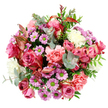 Viewed from above, this circular bouquet appears as a lush, carefully composed wreath of colour laid upon a white canvas, as if arranged on a bright table in an Oxford studio near the Covered Market. At the centre sit generous roses in deep fuchsia and tender blush pink, their petals fully unfurled in layered spirals, with some edges fading towards cream, lending an air of romantic sophistication. Embracing the roses are ruffled peach-pink carnations, each frilled bloom introducing a pleasing softness and a sense of gentle volume, like folded fabric. Interspersed are clusters of petite, daisy-like chrysanthemums in lavender and mauve, their petals neat and regular around vivid lime-green centres that shine out, bringing a fresh, youthful touch reminiscent of spring mornings in South Park. Creamy white and soft ivory blooms tuck into the gaps, creating small pockets of light that break up the deeper tones, ensuring the palette feels balanced and breathable. The foliage has its own quiet beauty: rounded eucalyptus leaves in a muted, silvery green curve around the flowers with a modern grace, while darker green leaves provide depth and a natural, garden-picked charm. Slender, reddish-pink variegated leaves run through the design, adding threads of warmth that subtly echo the richer rose tones and hint at seasonal change. The overall impression is of abundance without clutter, elegance without stiffness. This is the kind of bouquet that would feel equally at home on a dining table in Summertown or on a desk in an Oxford college office, delivering a message of affection, celebration, or simple appreciation through its harmonious mix of colour, texture, and freshness.