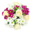 A full, circular bouquet fills the frame from a bird's-eye view, the flowers arranged tightly together against a plain white background so that only the blooms, not the stems, are visible. Cream-white roses are spaced evenly across the design, their petals curling inwards in neat spirals that give a feeling of calm and balance. The roses are surrounded and partially framed by clusters of white, daisy-shaped chrysanthemums, whose many slim petals radiate around soft yellow-green centers like small bursts of morning light over South Park. Interwoven among the white tones are bright fuchsia or magenta spray chrysanthemums, their colour strong and clear, adding vivid pops that lift the entire composition from gentle to joyfully expressive. Some of these magenta stems carry fully bloomed flowers with ruffled textures, while others hold small, round buds that introduce hints of depth and anticipation. Here and there, deeper green leaves emerge from between the blossoms, suggesting freshly cut stems and adding a natural contrast that keeps the bouquet from feeling too uniform. The lighting on the arrangement is clear and even, with no dramatic shadows, so the whites remain soft rather than harsh and the magenta hues glow warmly. The bouquet has an air of celebration-ideal for sending as a surprise delivery across Oxford, perhaps to brighten a home office in Headington or to mark a quiet anniversary in Jericho. Its mix of classic roses, cheerful daisies, and bold chrysanthemums creates a versatile design that feels as appropriate for everyday gratitude as for a special occasion.