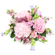 A lavish bouquet of spring flowers is captured in vivid detail against a pure white background, letting its soft pink and lilac tones take centre stage. The focal point is a trio of large, round hydrangea heads in delicate blush pink, their tightly packed petals forming plush, cloud-like mounds that immediately draw the eye. Surrounding them, layers of pink roses unfurl-some fully open with classic, spiralled hearts, others still in bud, their outer petals gently wrapped and full of promise. Threaded among the larger blooms are clusters of deep pink and fuchsia waxflowers, whose tiny, star-shaped blossoms and fine stems create a lace-like texture and bring a lively burst of colour. Smaller, five-petalled pink flowers, echoing the look of phlox, soften the spaces between hydrangea and roses, making the bouquet feel effortlessly full. From the edges, slender stems of soft lavender and periwinkle bell-shaped flowers, reminiscent of campanulas, stretch gracefully outward, adding height, cool contrast, and a touch of whimsy. Fresh green foliage-broad hydrangea leaves and lighter, airy greenery-peeks through at different points, grounding the arrangement with a natural, garden feel. The composition is dense yet airy, romantic without feeling overdone, like a bouquet chosen on a gentle afternoon stroll through central Oxford or along the cobbled streets near Radcliffe Square. It carries an air of quiet celebration and tenderness, suitable for birthdays, new babies, heartfelt congratulations, or simply bringing a breath of springtime calm into a home overlooking the dreaming spires.