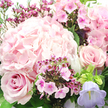 A richly detailed close-up of a pink and lavender bouquet shows a large, cloud-like hydrangea in soft blush at the centre and upper left, each tiny petal overlapping to create a full, cushiony texture that feels both romantic and contemporary. Cradling this focal bloom, a perfectly shaped blush-pink rose in the lower left unfurls its petals in a flawless spiral, while a second rose on the mid-right, slightly deeper in tone, adds balance and visual rhythm. Threaded throughout are small clusters of brighter fuchsia and magenta flowers-likely waxflower or phlox-with neat, star-shaped or five-petaled faces and darker centres that inject a playful brightness into the soft palette. On the bottom right, a bell-shaped campanula bloom, tinted a gentle lavender, introduces a cool, serene note that harmonises with the surrounding pinks and evokes the calm of an early evening walk along the canals near Jericho. Lush green foliage, from fine stems to broader leaves, frames the blossoms and creates a natural, garden-fresh backdrop, as if the bouquet has just been gathered from flower beds near Port Meadow or a hidden courtyard off Cornmarket Street. The light is soft and natural, catching the delicate sheen of the petals and enhancing their velvety textures without harsh shadows, lending the arrangement a serene, almost whispering atmosphere. It feels like a bouquet crafted for tender occasions-perhaps a quiet anniversary dinner in an Oxford townhouse, a thoughtful birthday surprise, or a gentle message of support-its colours and forms combining to express affection, reassurance, and graceful beauty in a single, harmonious composition.