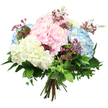 Set against a spotless white backdrop, this hand-tied hydrangea bouquet captures the serene charm of a well-kept Oxford garden after light rain. Large, spherical heads of hydrangea in tender pink, misty blue, and creamy white form a generous, rounded dome, each bloom built from many tiny, overlapping petals that create a pillowy, cloud-soft effect. The pink hydrangeas introduce a sweet, affectionate tone, the blue blooms bring a gentle coolness like the still water along the Oxford Canal, and the white hydrangeas brighten the composition with a quiet, almost bridal purity. Slender sprigs of deep magenta filler flowers, resembling waxflowers, thread between the larger heads, their petite blossoms adding specks of vivid colour and a touch of wildflower spontaneity, as if gathered from the edges of University Parks. A collar of mixed green foliage anchors the bouquet, with broad, glossy leaves giving structure and more delicate, lighter greens adding a sense of movement and natural fullness. The stems are carefully aligned and bound together at the base, ready to be slipped into a vase in a Jericho flat or a North Oxford townhouse. The clean, even lighting highlights every nuance of petal and leaf, making the pastel palette appear gentle yet vibrant against the plain background. This arrangement feels peaceful and uplifting, suitable for comforting a friend, congratulating a new graduate, welcoming a new baby, or simply bringing a fresh, graceful presence into any Oxford home, as though a slice of a soft summer morning has been gathered and tied with care.